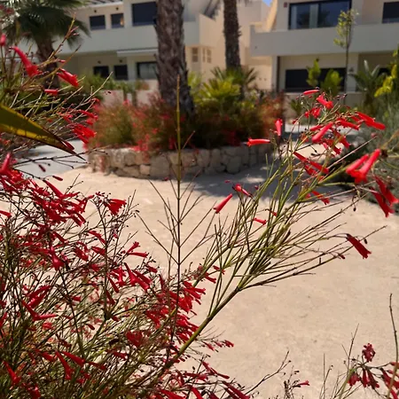 Mediterranean Garden Holidays * Торевьиа