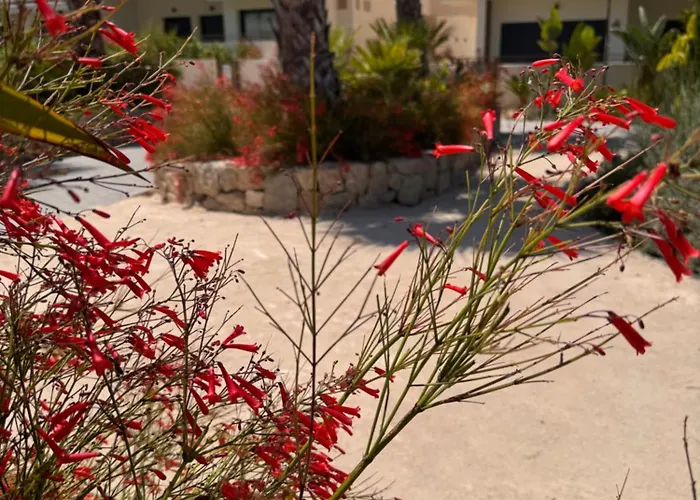 Mediterranean Garden Holidays * Торевьиа